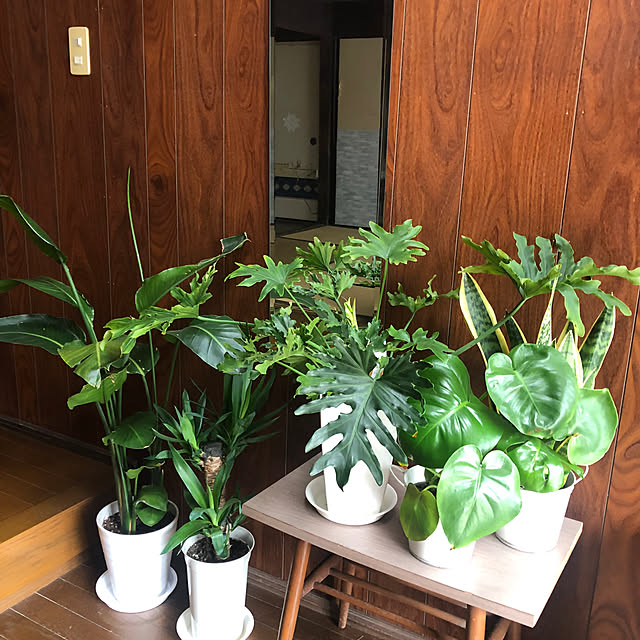 conatuさんの部屋