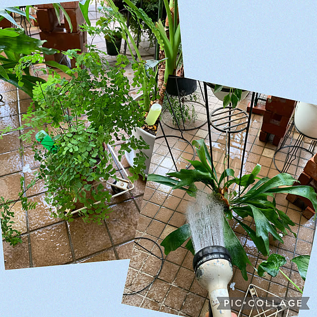 Aqettyさんの部屋