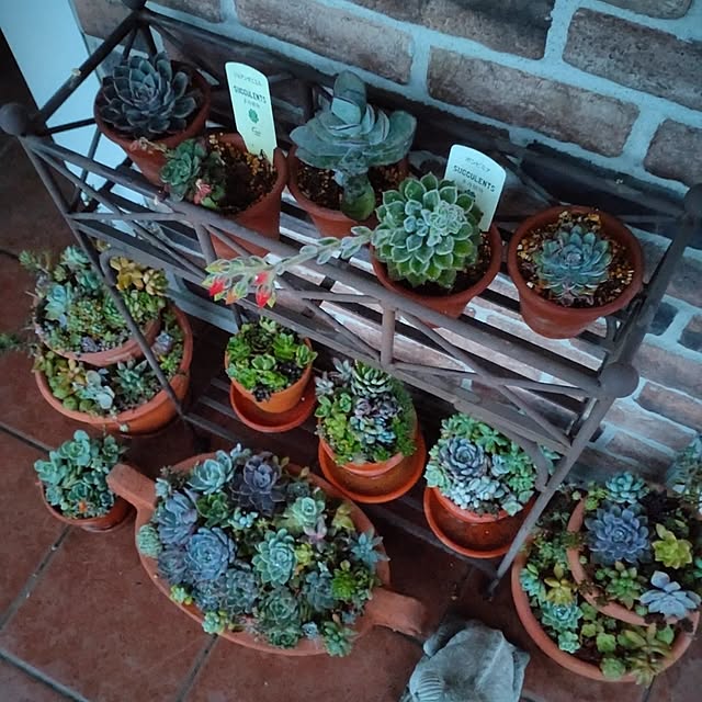 figaroさんの部屋