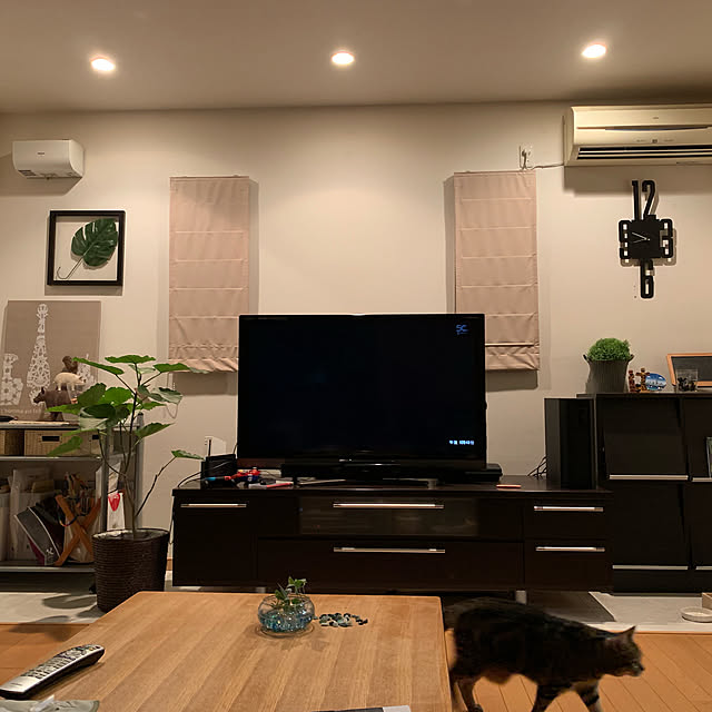 実例写真