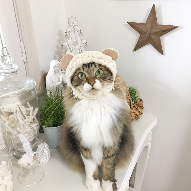 yuchiさんの実例写真