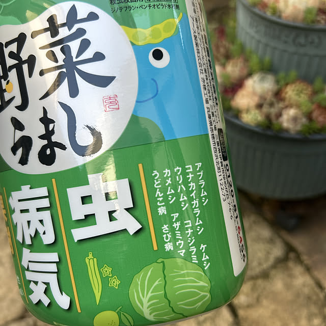 shhさんの部屋