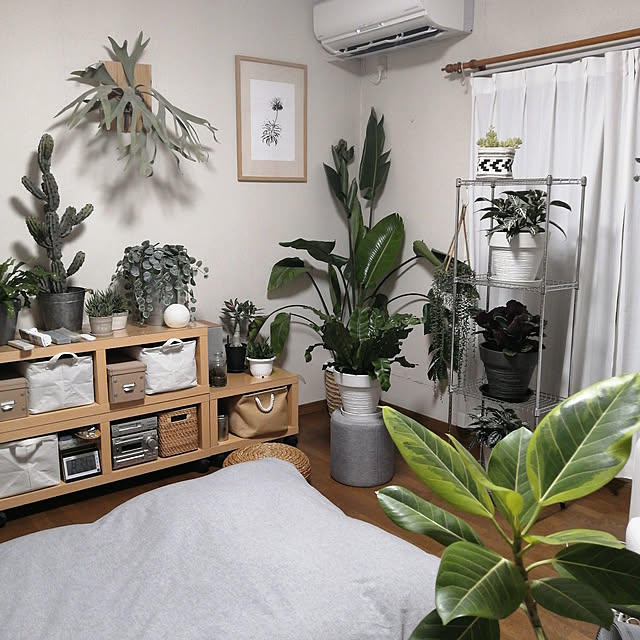 部屋全体のインテリア実例 - 2022-08-05 20:15:11