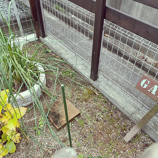 t-famさんの部屋