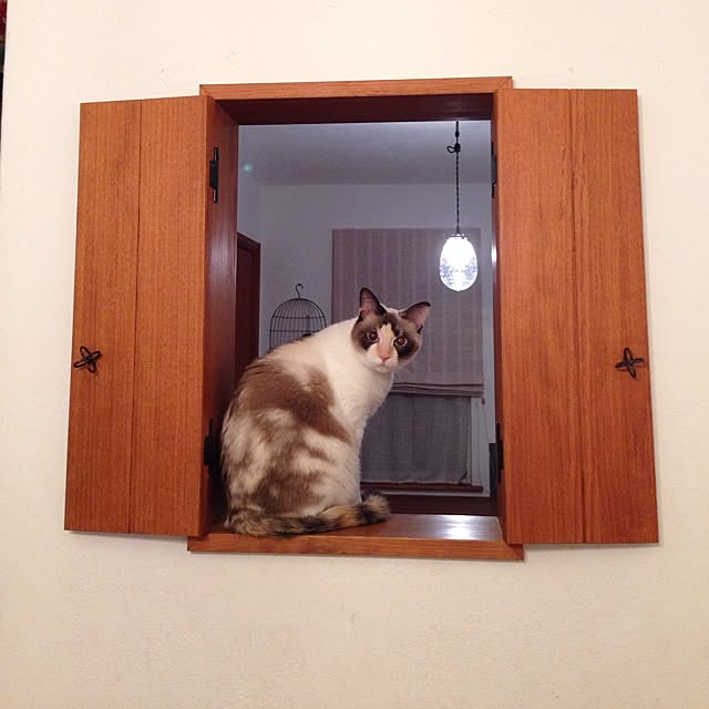kurunさんの実例写真