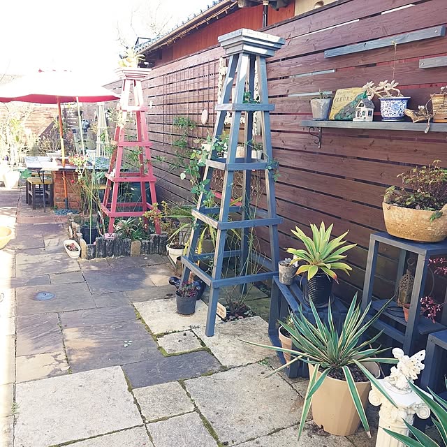 masayoさんの実例写真