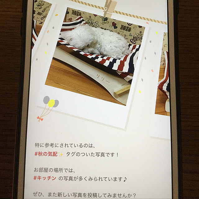 kakoさんの実例写真