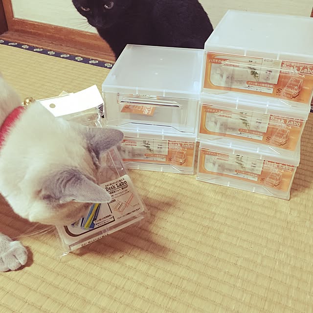 OmamekOさんの実例写真