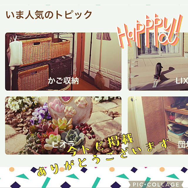 jijiさんの実例写真