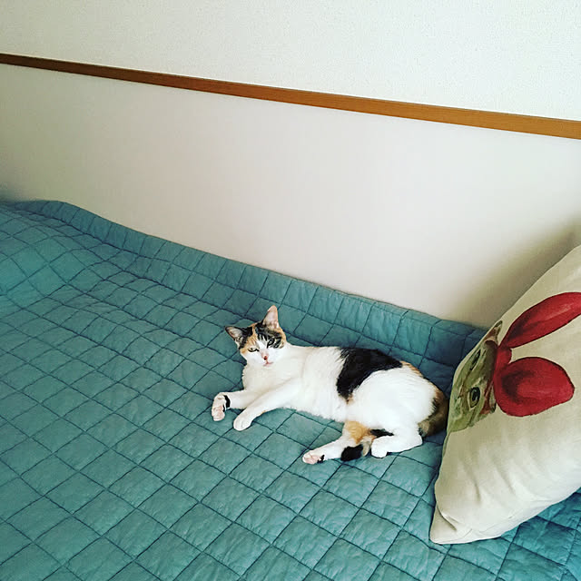 tacomozさんの実例写真
