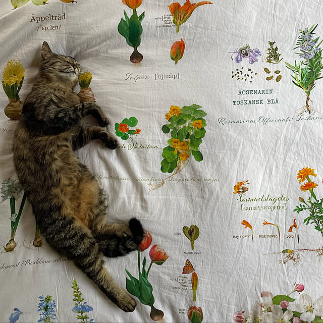 weさんの実例写真