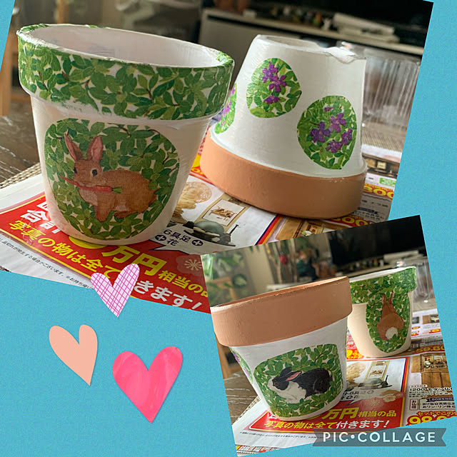 Aqettyさんの部屋