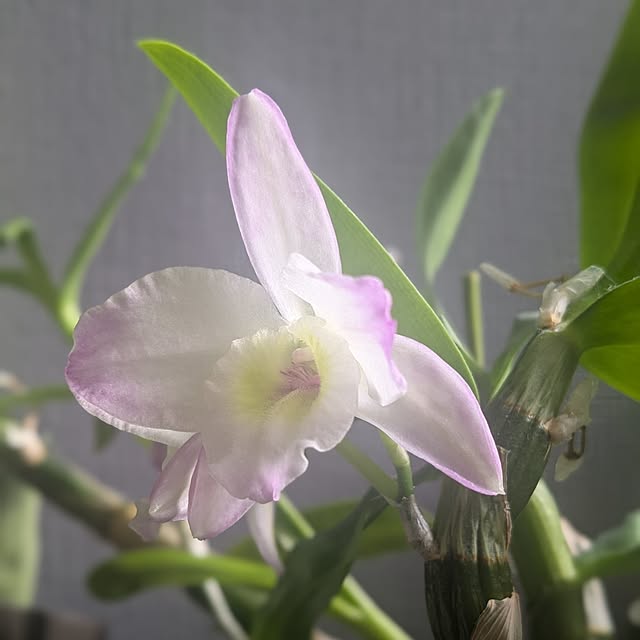 reeさんの実例写真