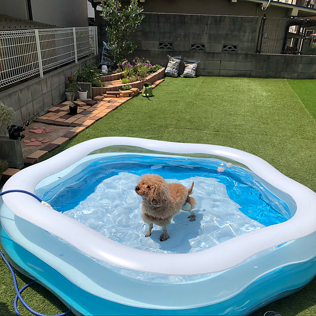 mayonnu22さんの実例写真