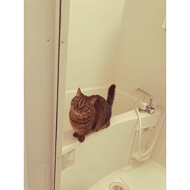 nocomomさんの実例写真