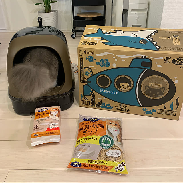 leoさんの実例写真