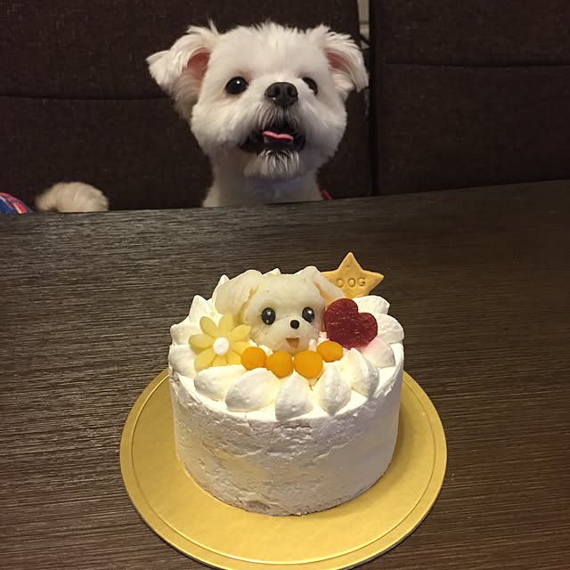 madoka.s_roomさんの実例写真