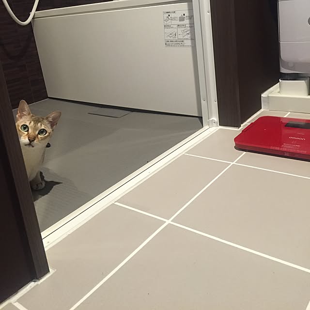 cocomimiさんの実例写真