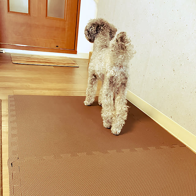 coochanさんの部屋