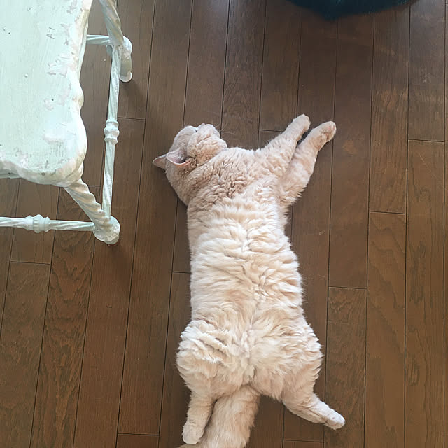 naokoさんの部屋