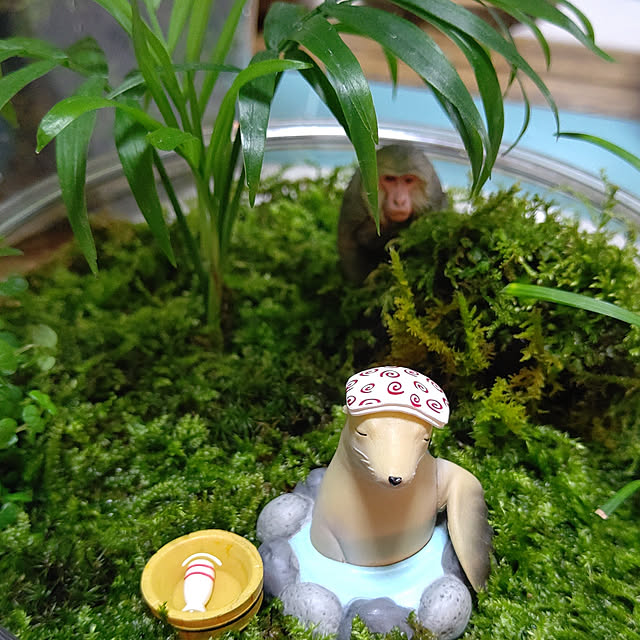 wakaさんの実例写真
