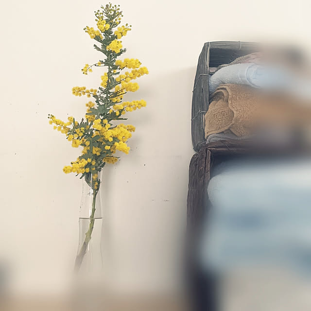 yattaさんの実例写真