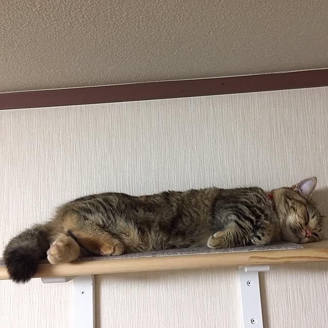 keibooさんの実例写真