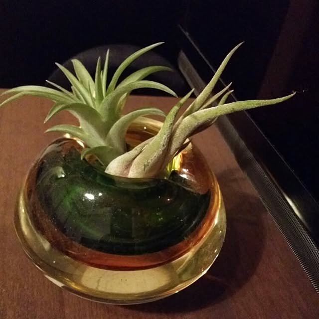 akki..さんの実例写真