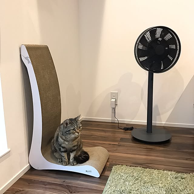 kaedeさんの実例写真