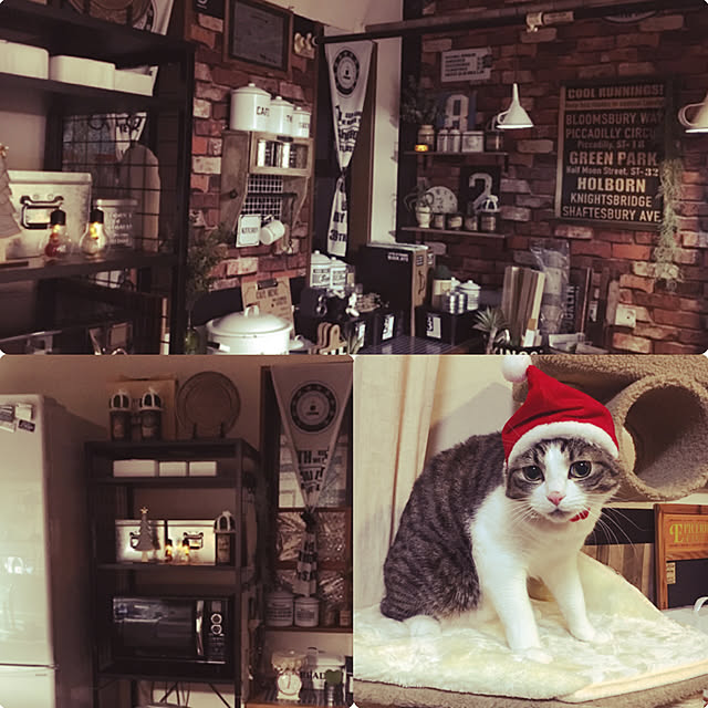 Rumiさんの実例写真