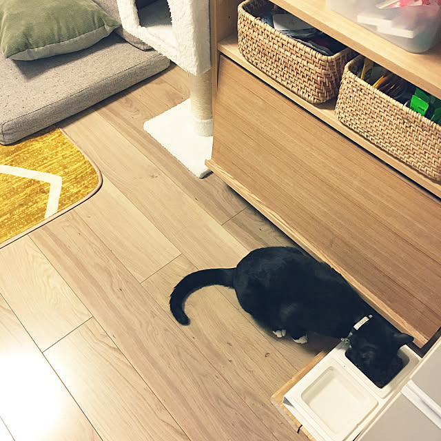 masamasaさんの実例写真