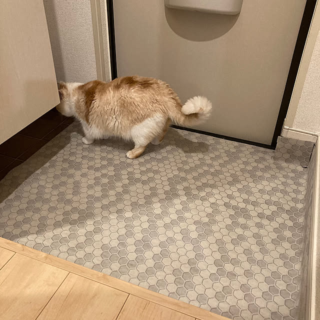 H.Tさんの部屋