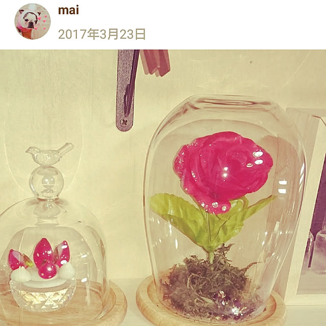 maiさんの実例写真