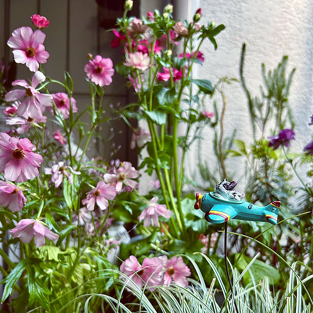 DAYONEさんの実例写真