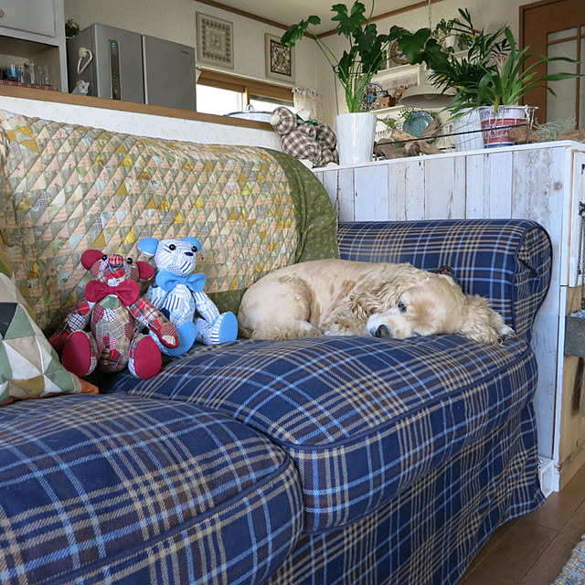 Annieさんの実例写真