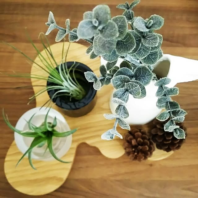 mihoccoさんの実例写真