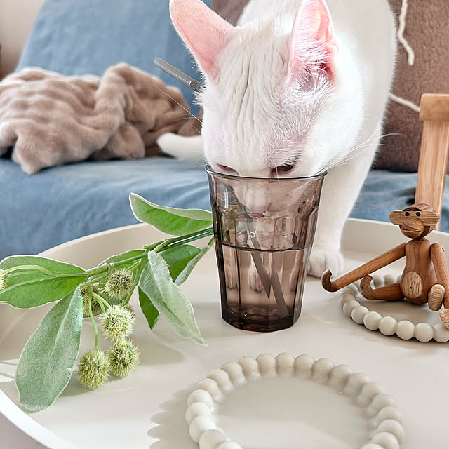 Miyu_さんの部屋