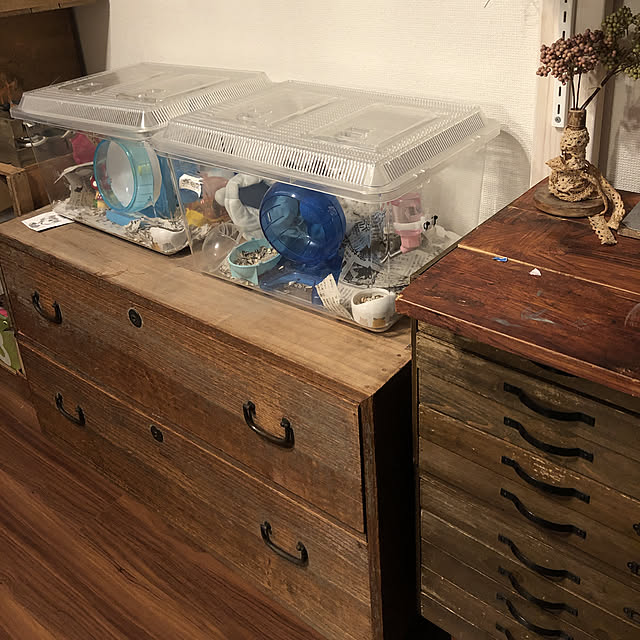 piroyurayura0104さんの実例写真