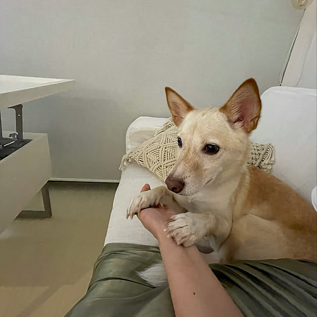 maruさんの実例写真