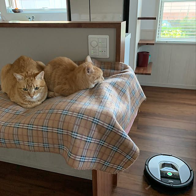 mikeume7さんの実例写真
