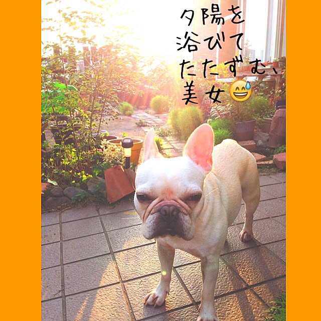 38coreさんの実例写真