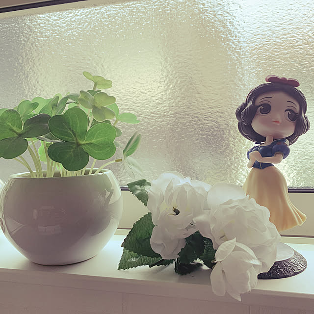 papiさんの実例写真