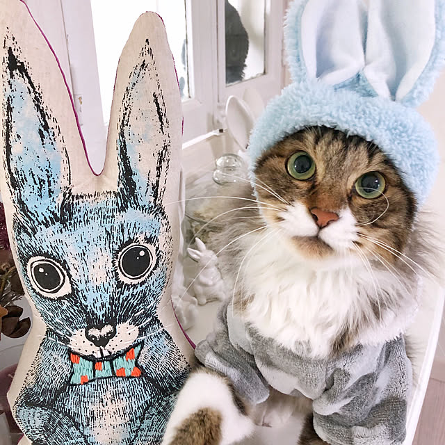 yuchiさんの実例写真