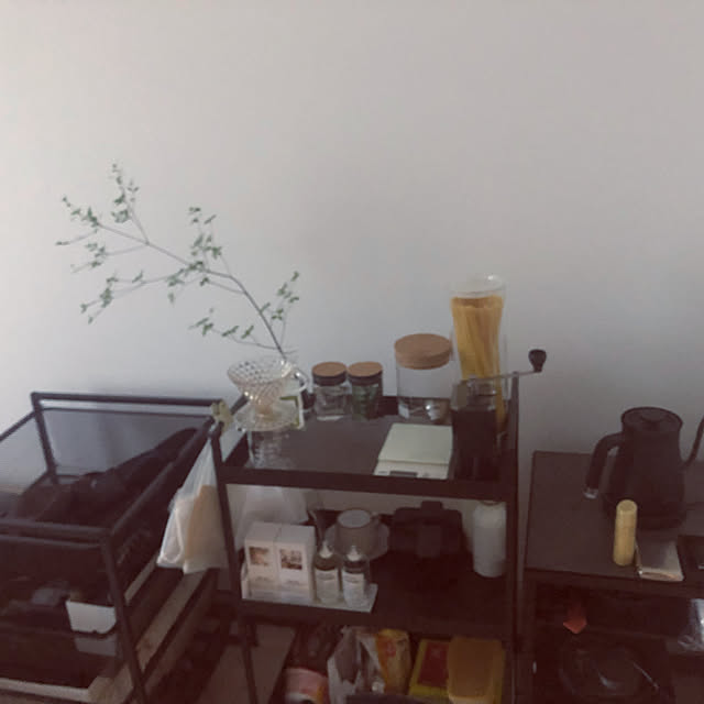 IKEA/モノトーン/観葉植物/リビングのインテリア実例 - 2021-08-23 01:34:56