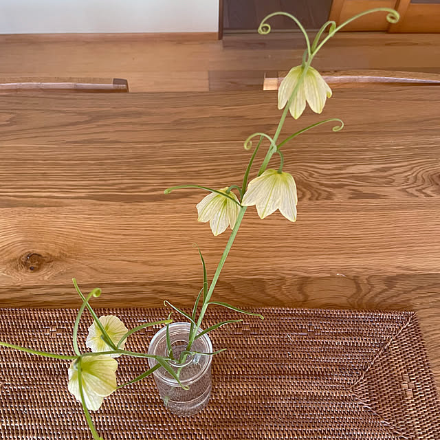 marucoさんの部屋