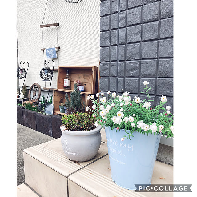 craneさんの実例写真