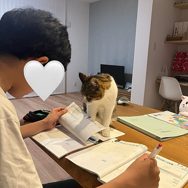 tiroさんの実例写真