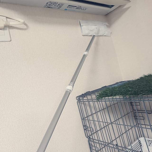 noguriさんの部屋