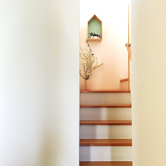 Saraさんの実例写真