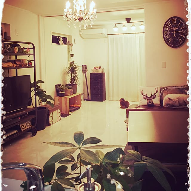 cocoyveさんの実例写真
